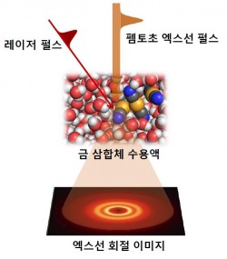 금 삼합체 수용액에 특수광원과 레이저를 쏘아주면 일정 시간이 흐른 뒤의 엑스선 회절 이미지를 얻을 수 있다. - IBS 제공